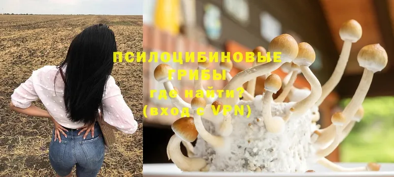 Галлюциногенные грибы MAGIC MUSHROOMS  купить наркоту  Анжеро-Судженск 